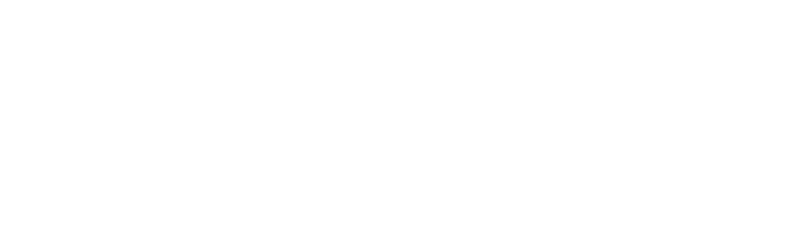 Nunes Wine Company Logo